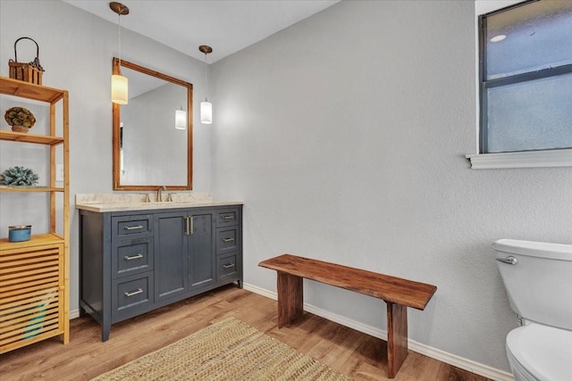 bathroom with vanity, wood finished floors, toilet, and baseboards