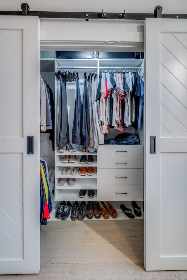 view of closet