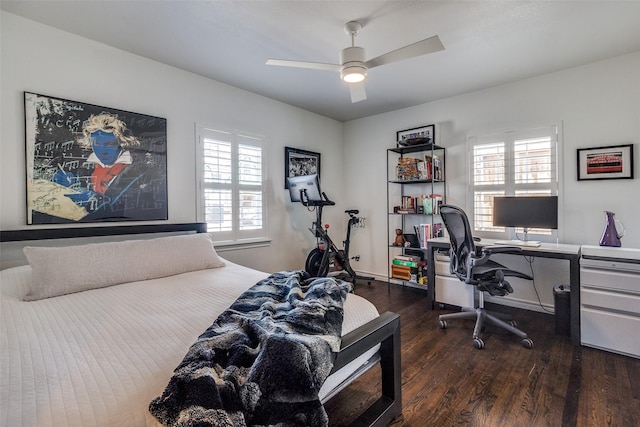 bedroom featuring multiple windows, wood finished floors, and a ceiling fan