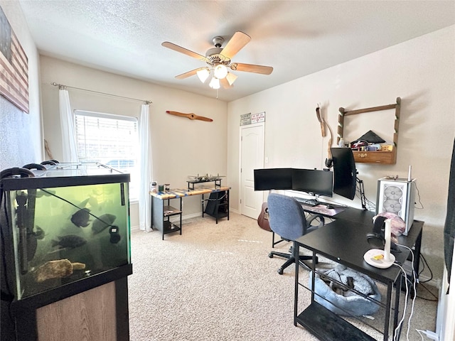 office space with carpet floors, a textured ceiling, baseboards, and a ceiling fan