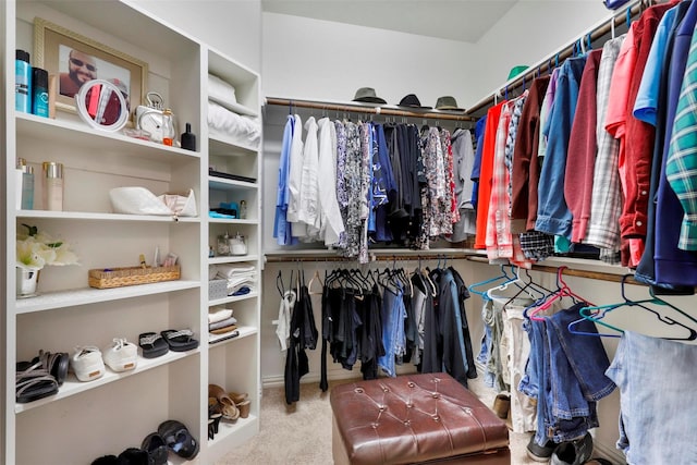 walk in closet with carpet floors