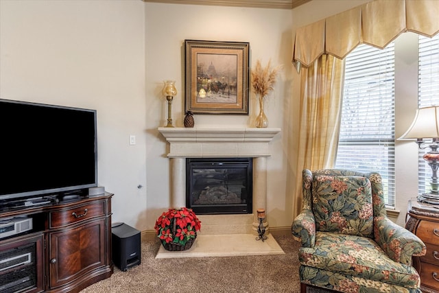 living room featuring a fireplace and carpet flooring