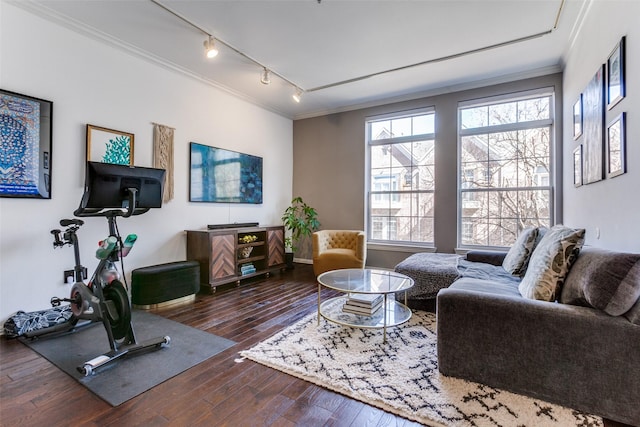 living room featuring wood-type flooring, rail lighting, and crown molding