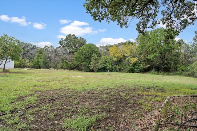 view of yard featuring a wooded view