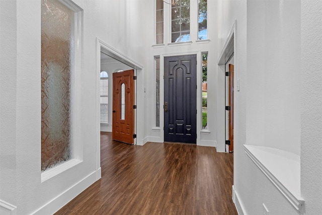 foyer with wood finished floors, a towering ceiling, and baseboards