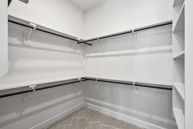 spacious closet with carpet floors