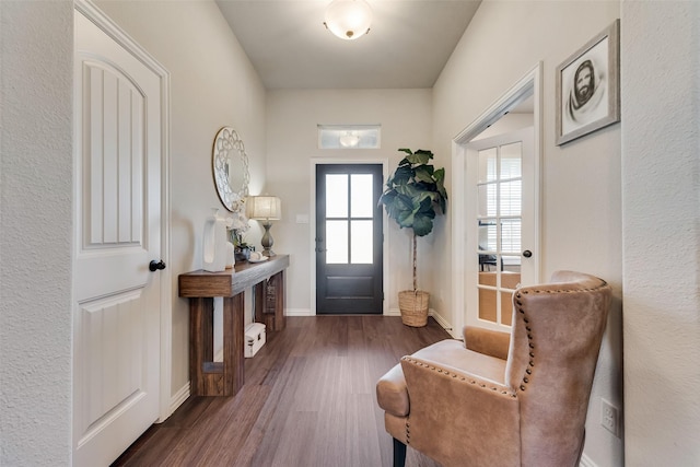 1016 Northern Oaks Ct, Springtown, TX 76082 - foyer entrance featuring wood finished floors and baseboards