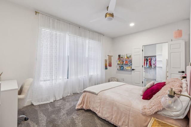 bedroom with ceiling fan, a closet, a walk in closet, and carpet flooring