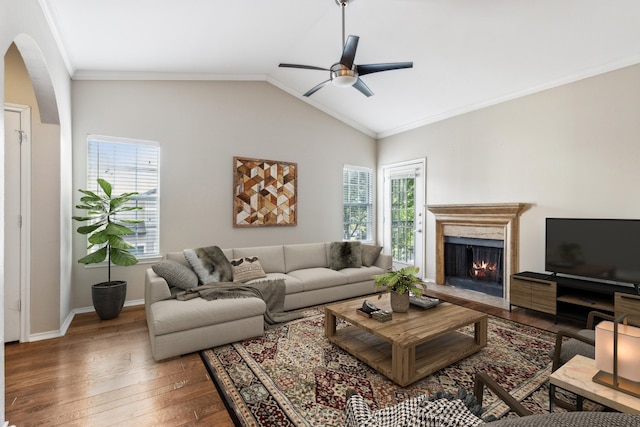 living area featuring lofted ceiling, ornamental molding, plenty of natural light, and wood-type flooring