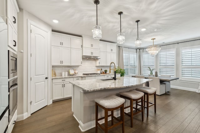 kitchen featuring appliances with stainless steel finishes, dark wood-style flooring, a sink, and under cabinet range hood