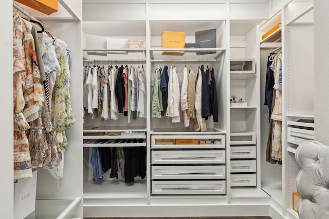 view of spacious closet