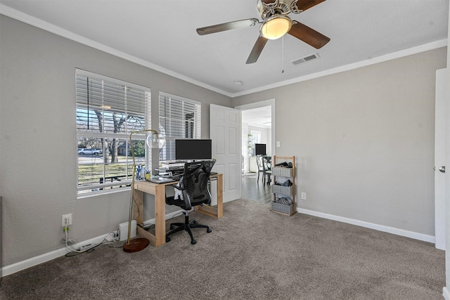 office space with baseboards, carpet floors, visible vents, and crown molding