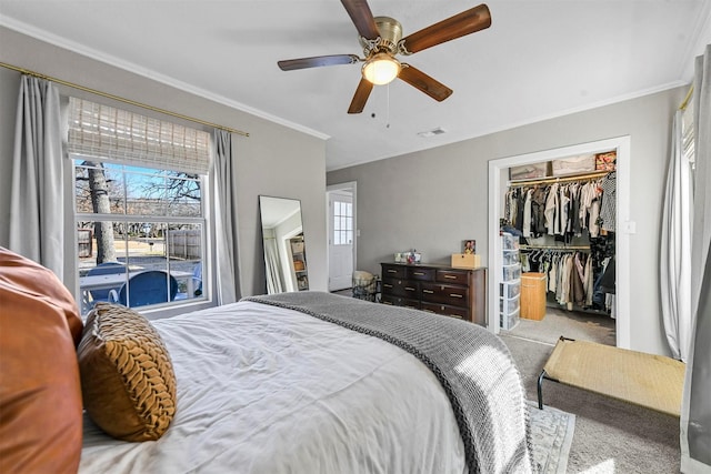 carpeted bedroom featuring a walk in closet, a closet, visible vents, ornamental molding, and a ceiling fan