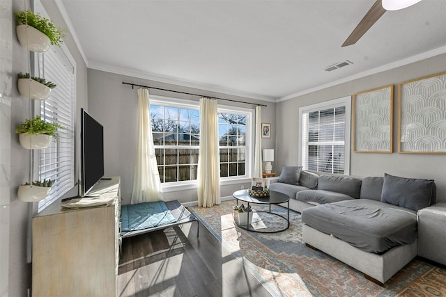 living area with ceiling fan, visible vents, wood finished floors, and ornamental molding