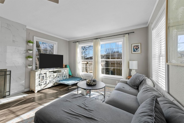 living area with baseboards, crown molding, and wood finished floors