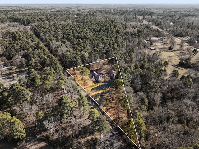 aerial view with a forest view