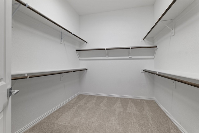 spacious closet with carpet