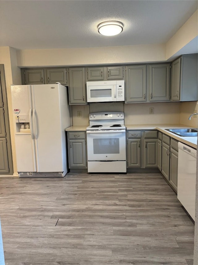 kitchen featuring light wood finished floors, gray cabinets, light countertops, a sink, and white appliances