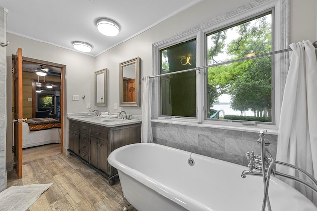 ensuite bathroom with a sink, a healthy amount of sunlight, crown molding, and connected bathroom