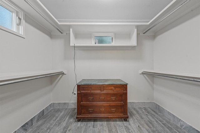 walk in closet featuring dark wood-type flooring