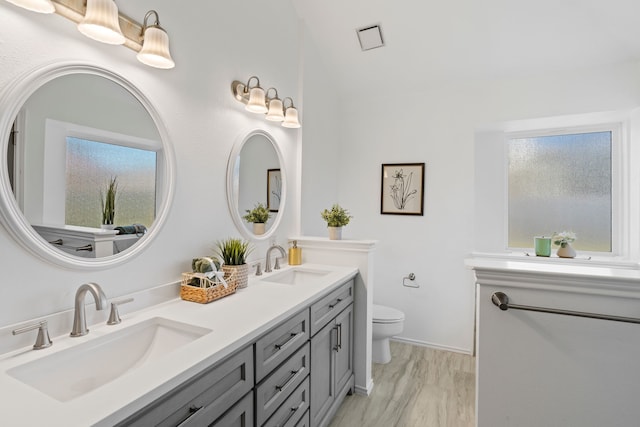 full bathroom featuring toilet, double vanity, and a sink