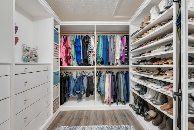 walk in closet featuring wood finished floors