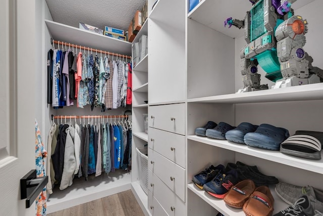 spacious closet with wood finished floors