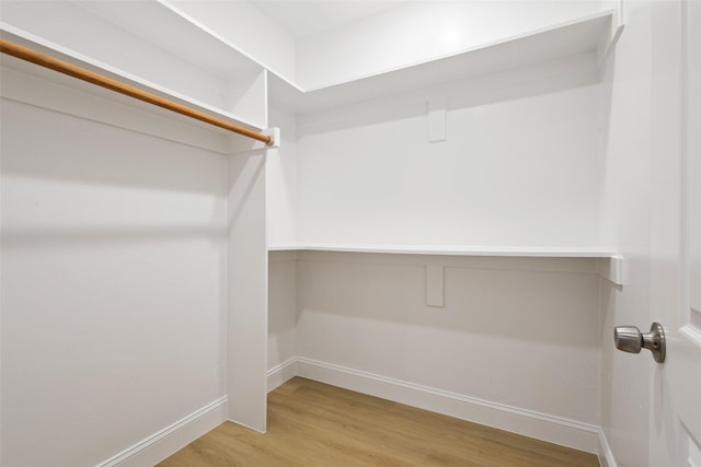 walk in closet featuring wood finished floors