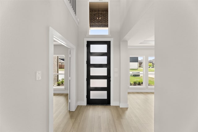 entrance foyer with wood finished floors, a high ceiling, and baseboards