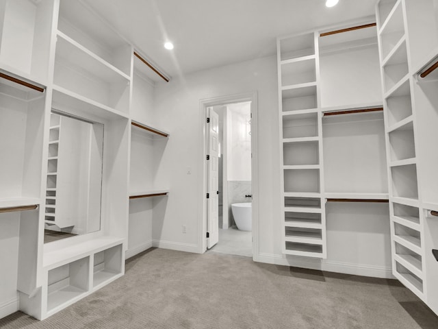 spacious closet featuring carpet