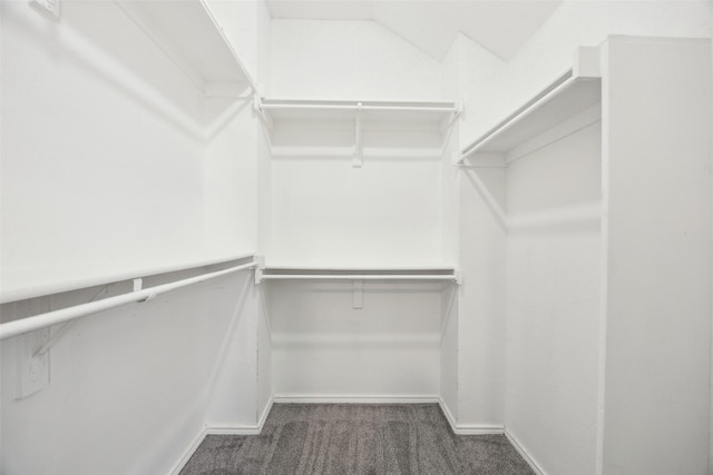 1153 Regal Dr, Garland, TX 75040 - spacious closet with carpet flooring