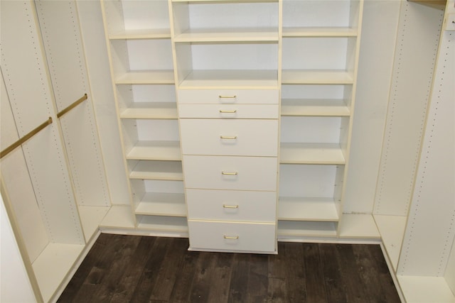 8509 Mustang Dr, Irving, TX 75063 - walk in closet featuring dark wood finished floors
