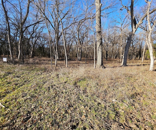 LOT221 Banjo Ct, Alvord TX, 76225 land for sale