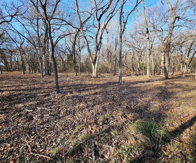 Listing photo 2 for LOT221 Banjo Ct, Alvord TX 76225