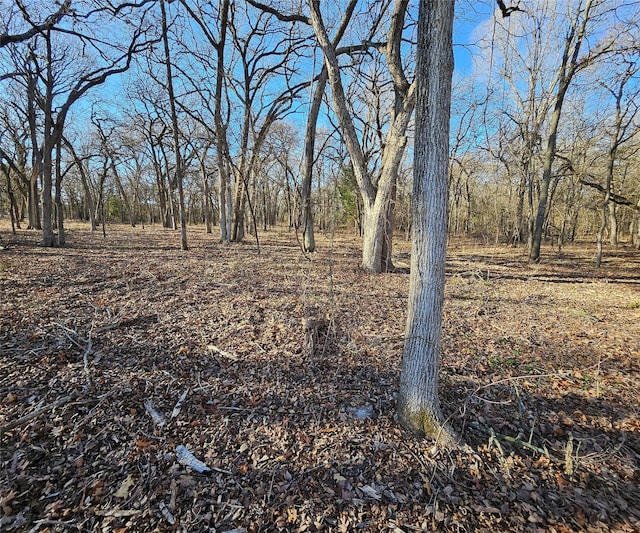 Listing photo 3 for LOT221 Banjo Ct, Alvord TX 76225