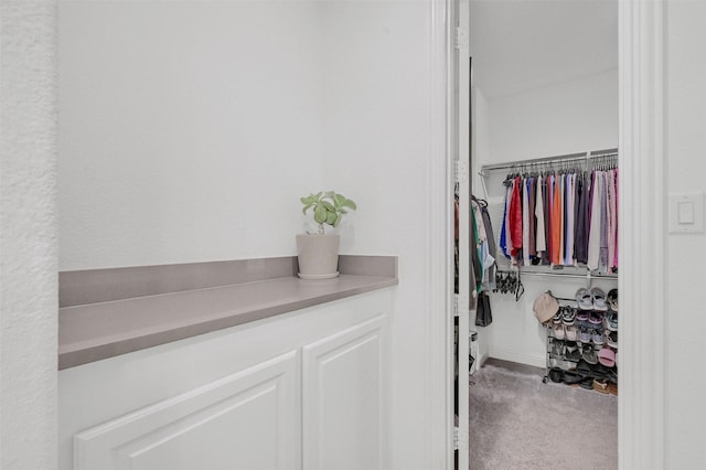 spacious closet with carpet