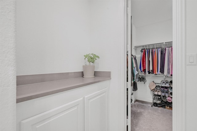 782 Corner Post Path, Celina, TX 75009 - walk in closet with carpet flooring