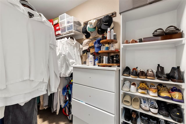 view of spacious closet