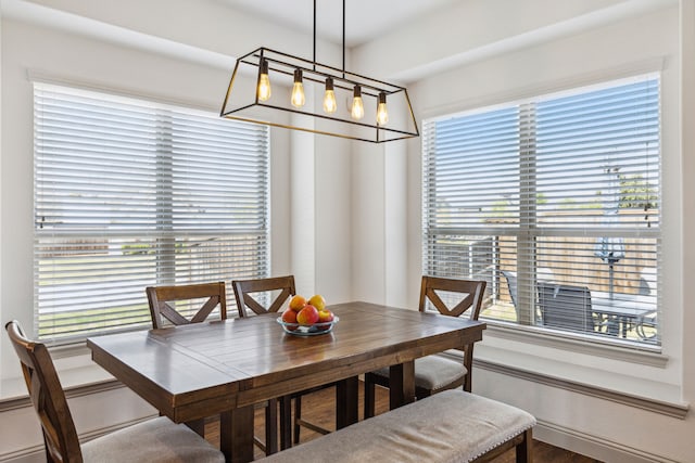 dining room featuring a wealth of natural light