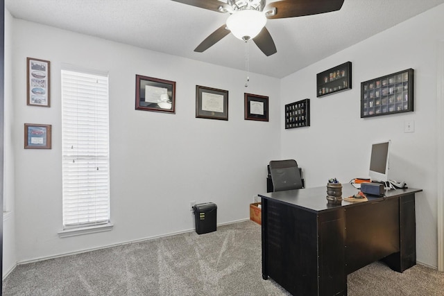 office space featuring carpet flooring and ceiling fan