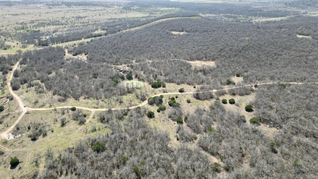 Listing photo 3 for TBD Nash Rd, Jacksboro TX 76458