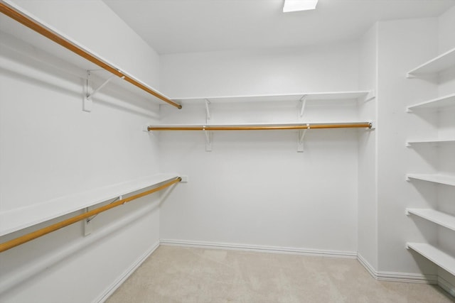 spacious closet with carpet