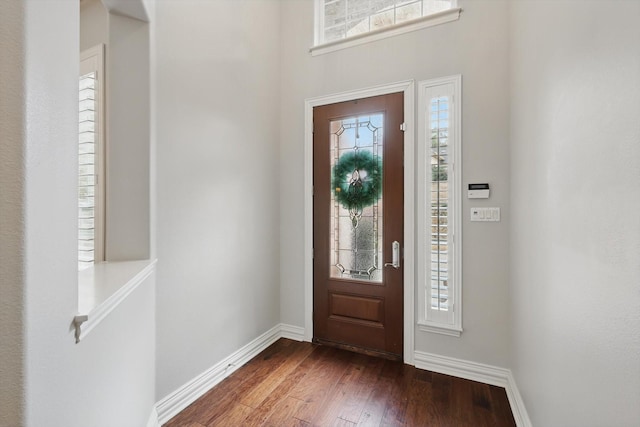 foyer featuring plenty of natural light, baseboards, and wood-type flooring