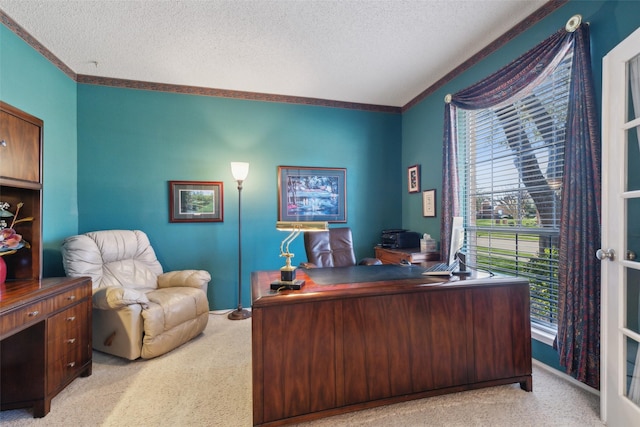 office featuring a textured ceiling, ornamental molding, and carpet flooring