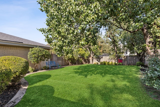 view of yard with a fenced backyard