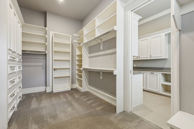 spacious closet featuring carpet floors