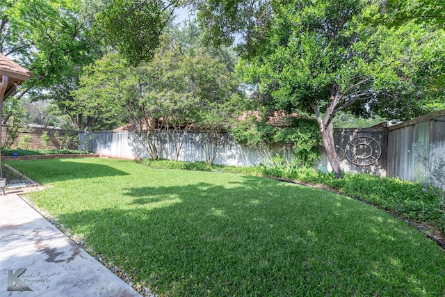 20 Glen Abbey St, Abilene, TX 79606 - view of yard