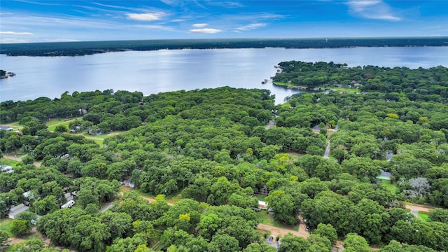 bird's eye view featuring a water view and a wooded view