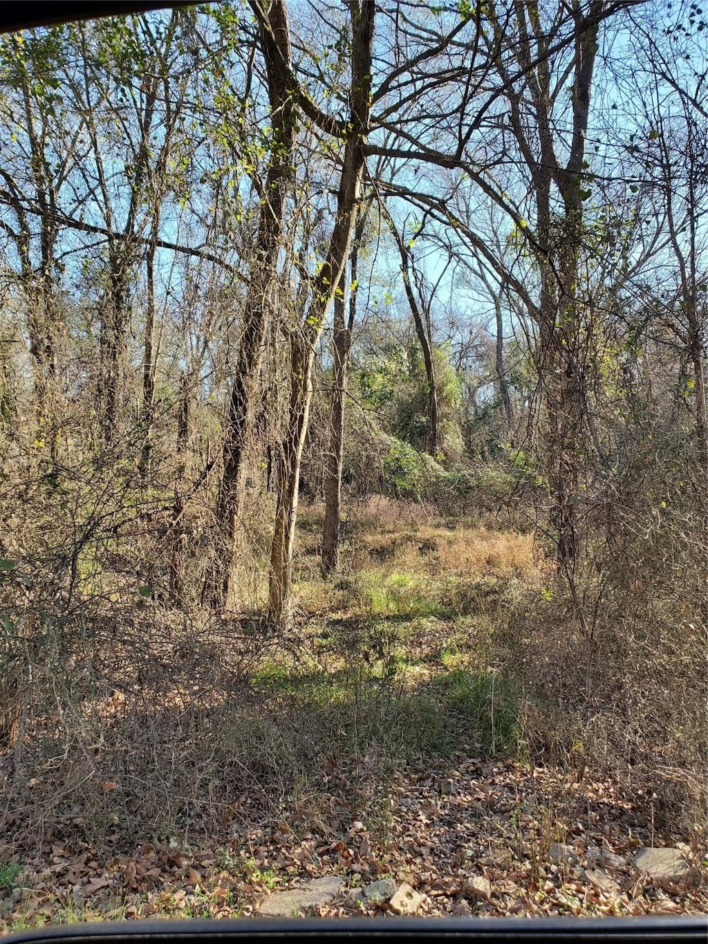 0 Wood Ln, Mabank, TX 75156