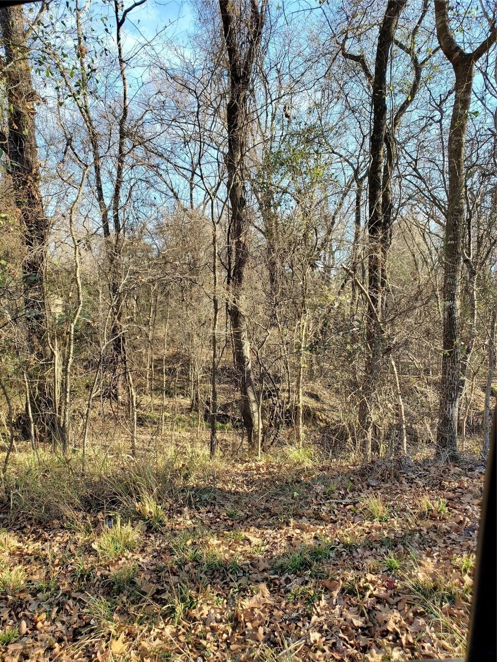 0 Wood Ln, Mabank, TX 75156